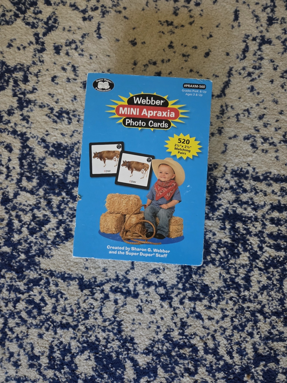 Mini Apraxia Photo Cards - Blue Educational Card Set